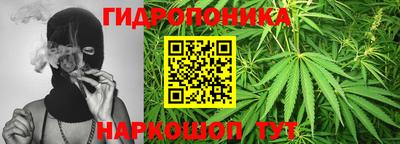гидропоника Новодвинск