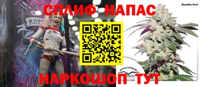 mdpv Новозыбков