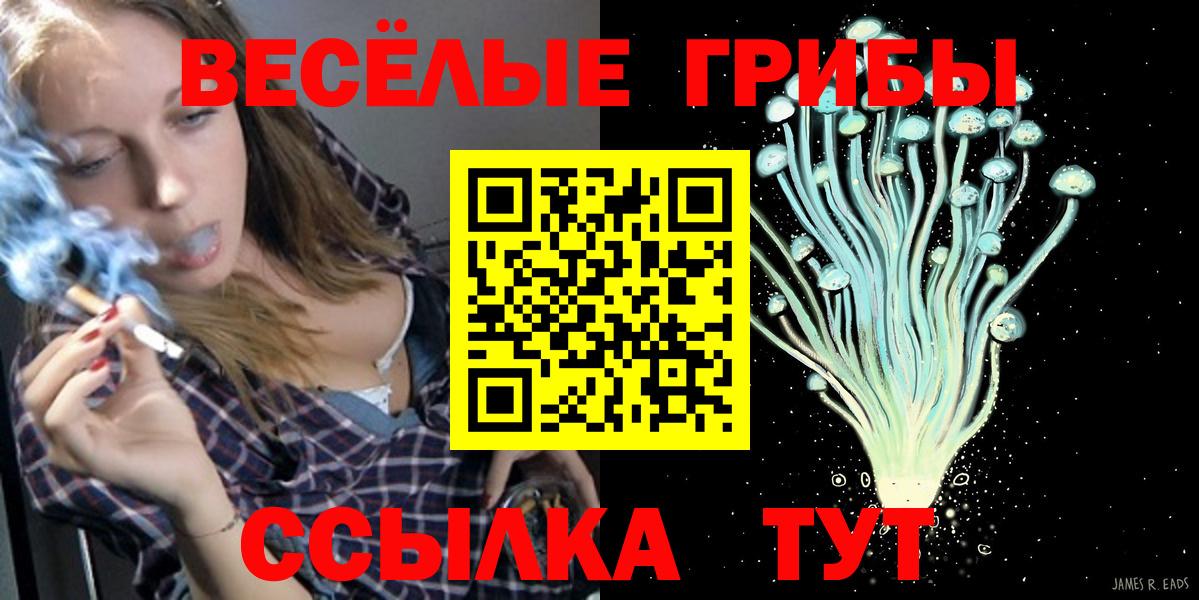 Псилоцибиновые грибы Cubensis  Вход с VPN  Урюпинск 