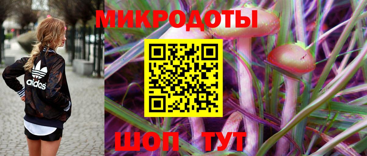 Псилоцибиновые грибы Psilocybine cubensis Урюпинск